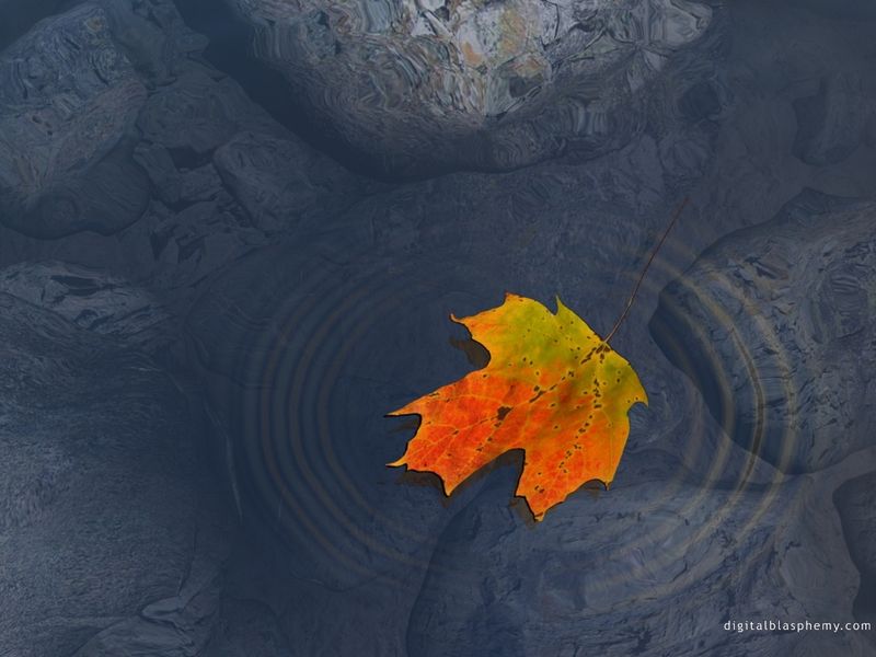 2000-10-14_Background_020.jpg
