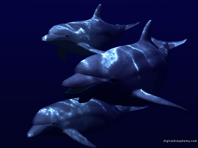 2000-10-14_Background_033.jpg