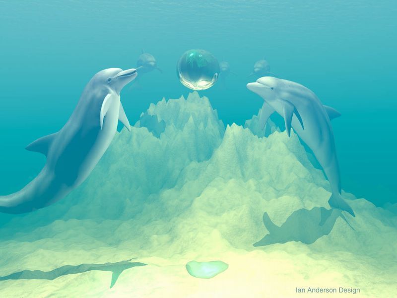 2001-03-12_Dolphinfun.JPG