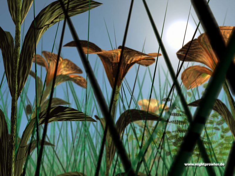 2001-03-12_strangeflowers.JPG