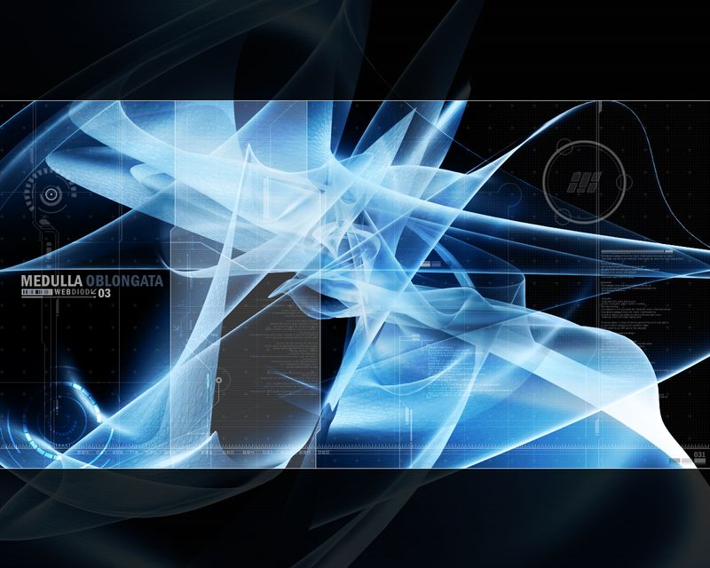 2002-02-05_MEDULLAOBLONGATA1_0.jpg