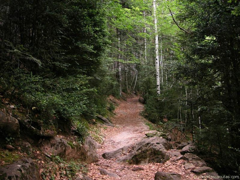 2003-09-08_ordesa_faja_canarellos_011.jpg