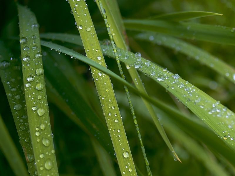 2008-09-30_1696_afterrain_1280x960.jpg